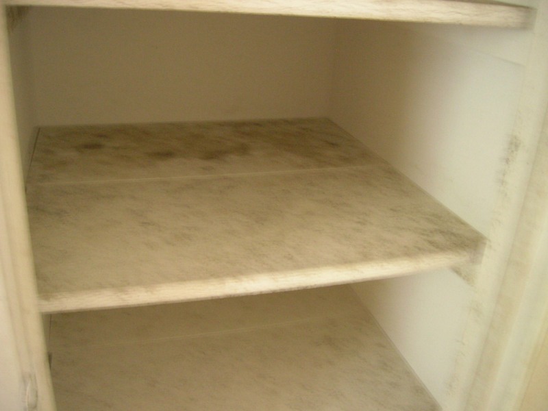 Mold in linen closet