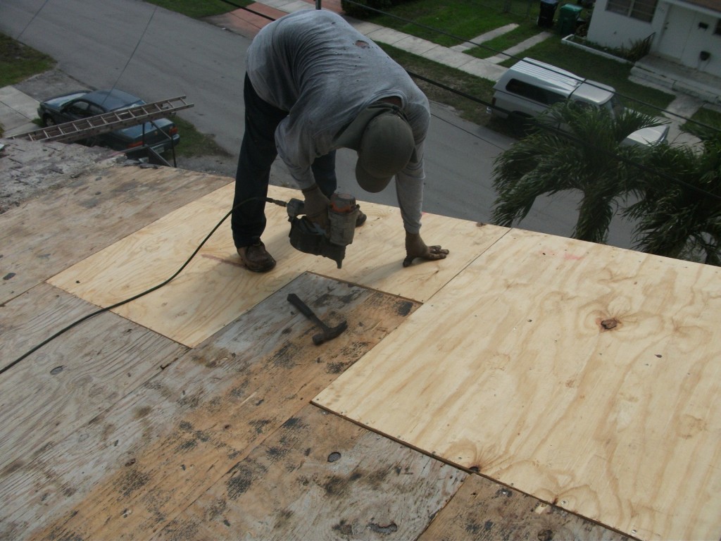 Roof damage being repaired with new plywood