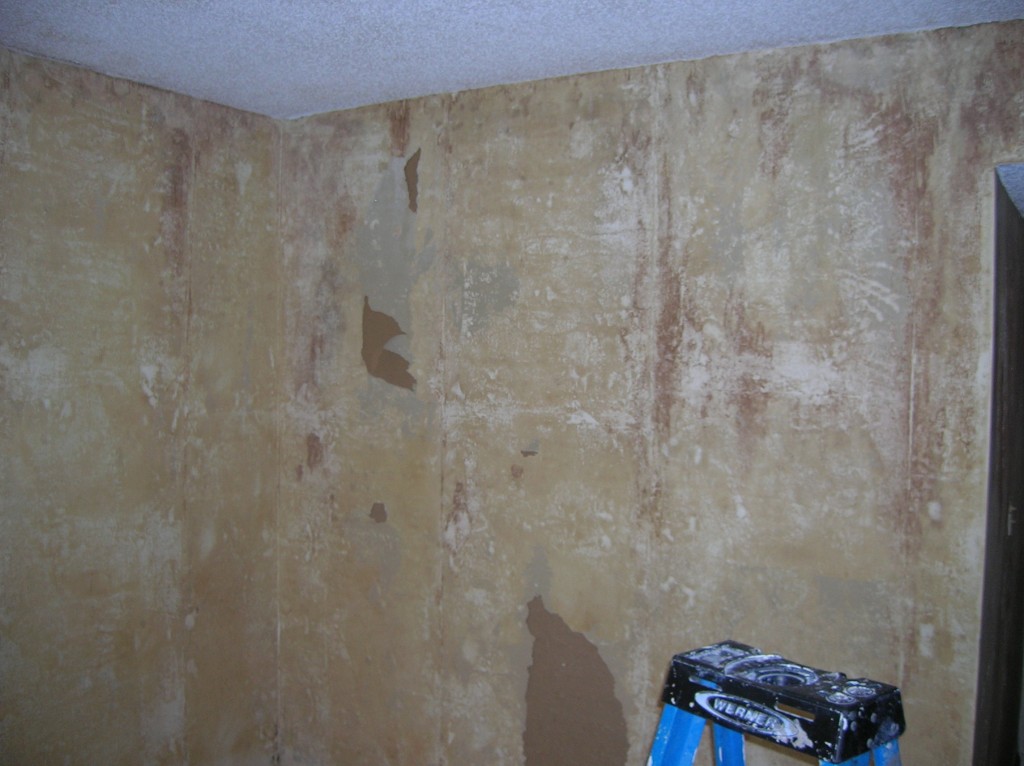 Before photo of mold remediated home