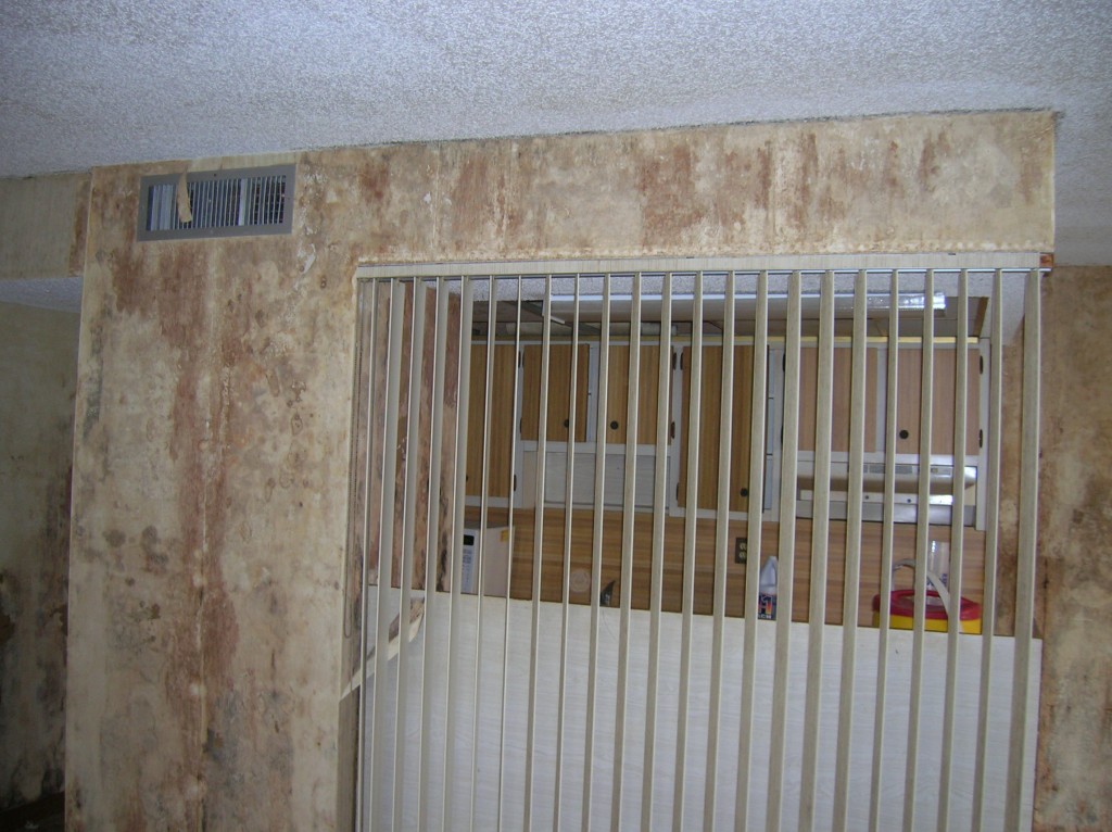 Before photo of mold remediated home