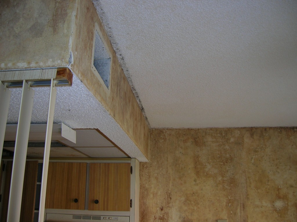 Before photo of mold remediated home