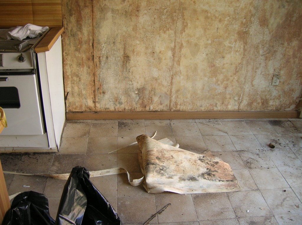 Before photo of mold remediated home