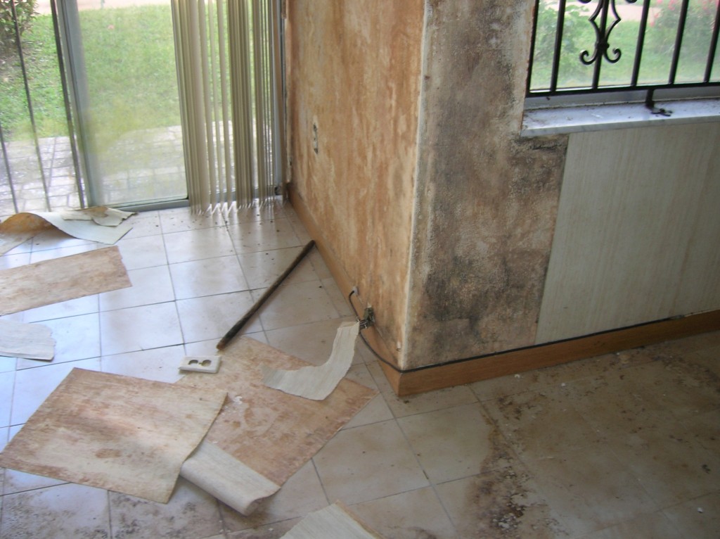 Before photo of mold remediated home