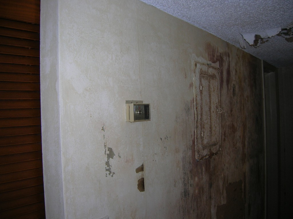 Before photo of mold remediated home