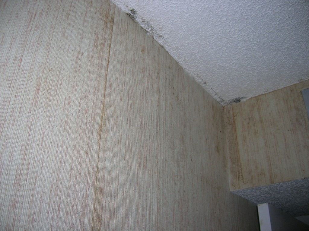 Before photo of mold remediated home