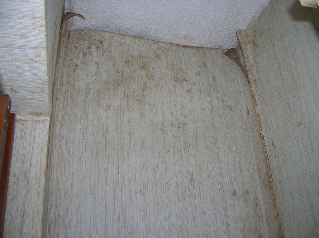 Before photo of mold remediated home