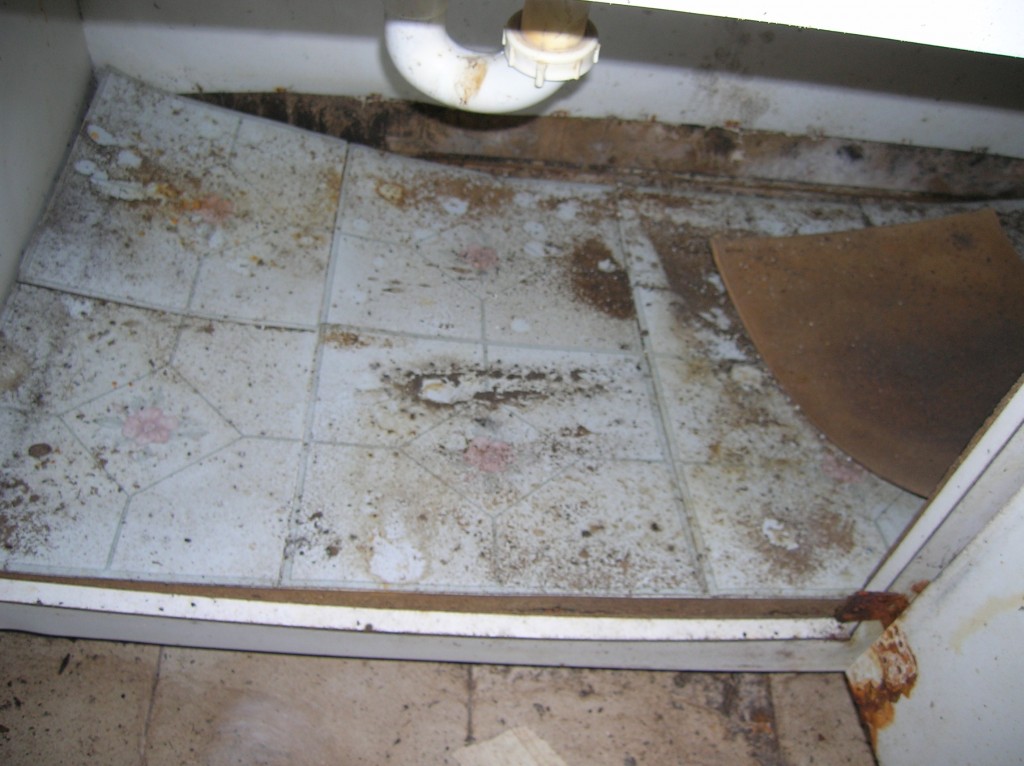 Before photo of mold remediated home