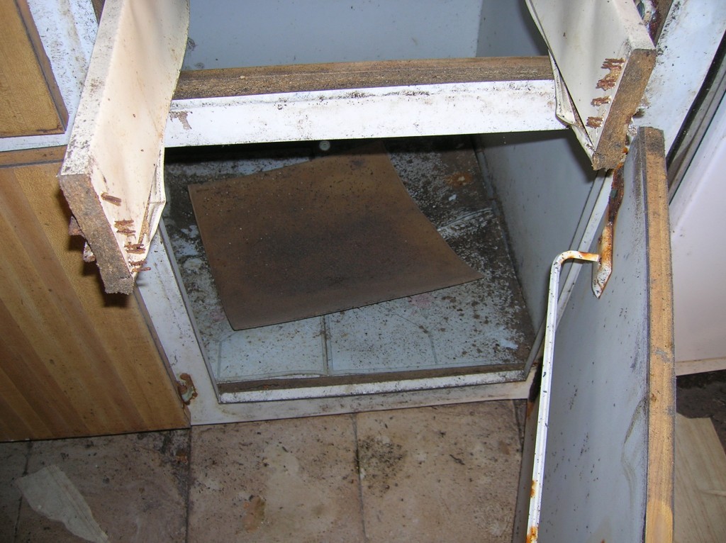 Before photo of mold remediated home