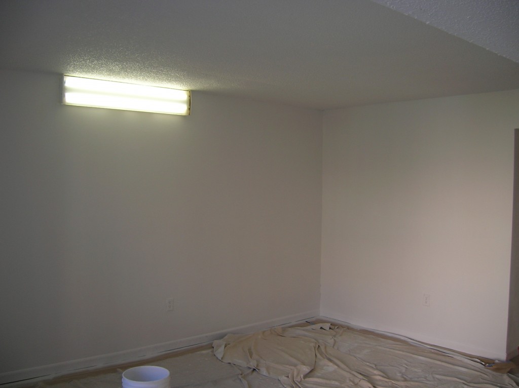 After photo of mold remediated home