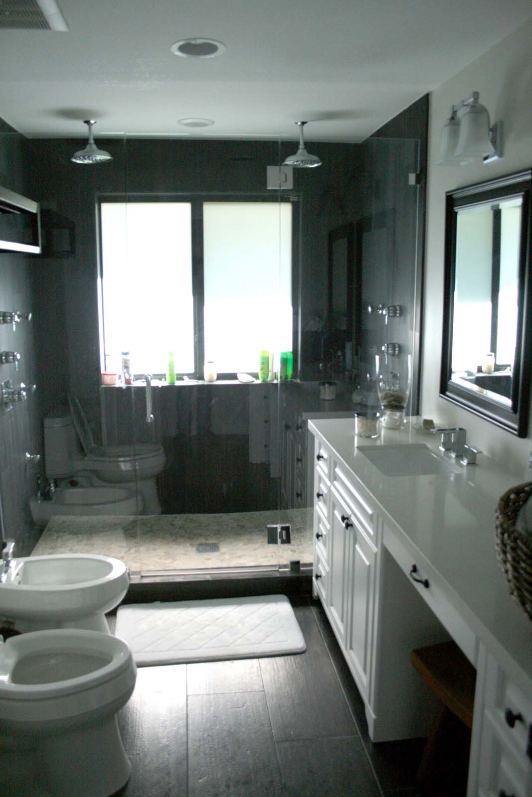 New master bathroom with dual showers and jets