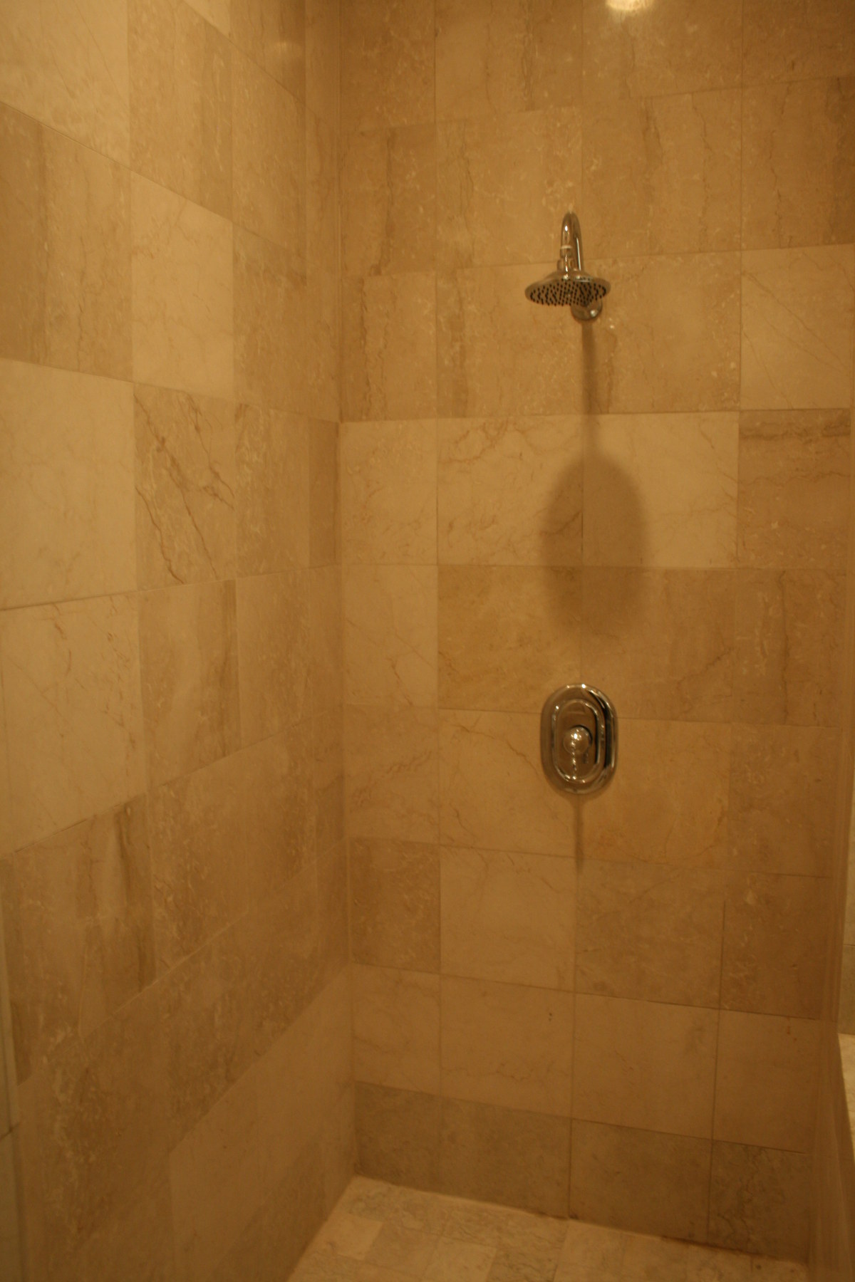 Master Bathroom Shower