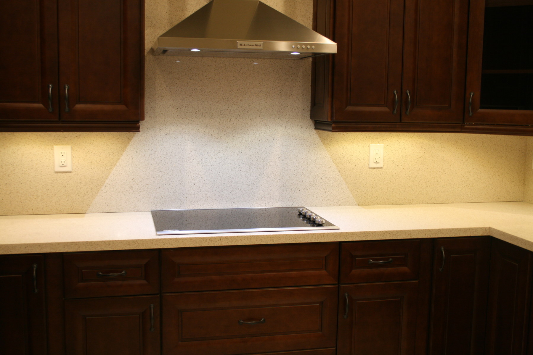New stainless steel cook-top and vent hood
