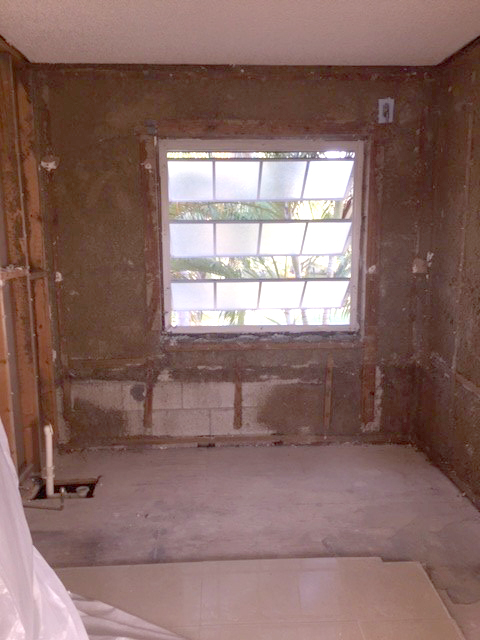 Demolition of master bathroom