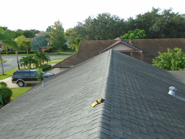 Original Shingle Roof