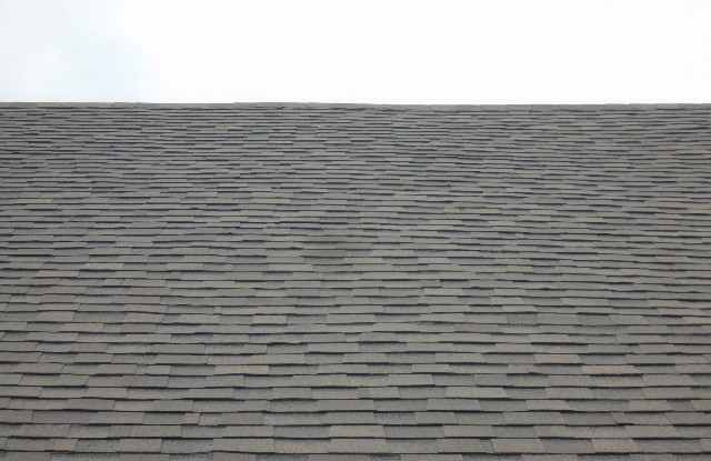 Final photo of installed architectural shingle in Kendall