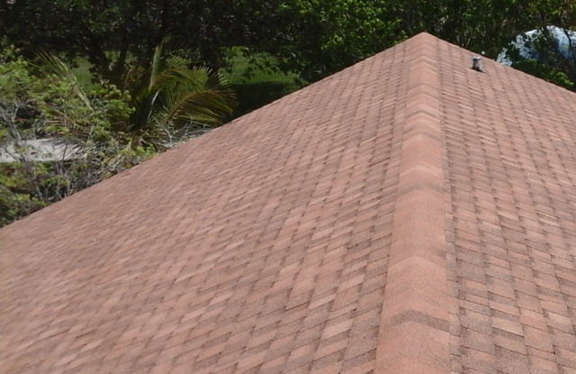 Original architectural shingle roof before roof replacement