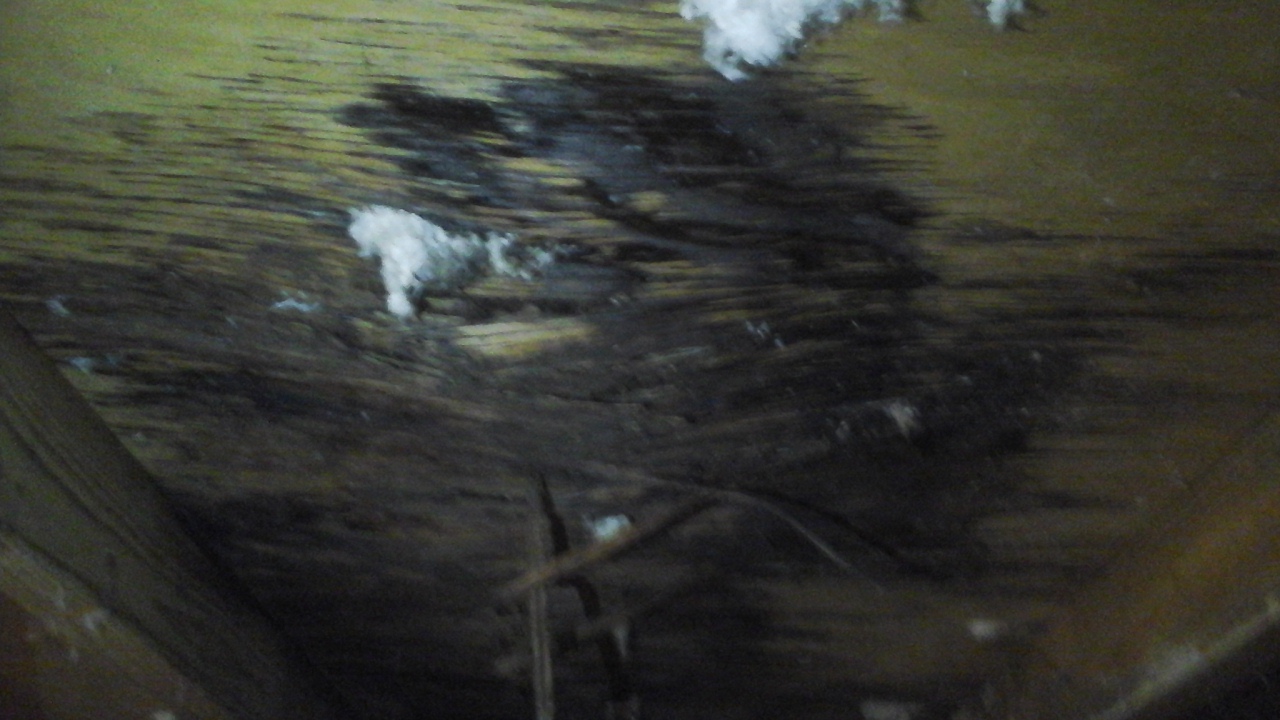 Attic photo of decking damage from roof leak