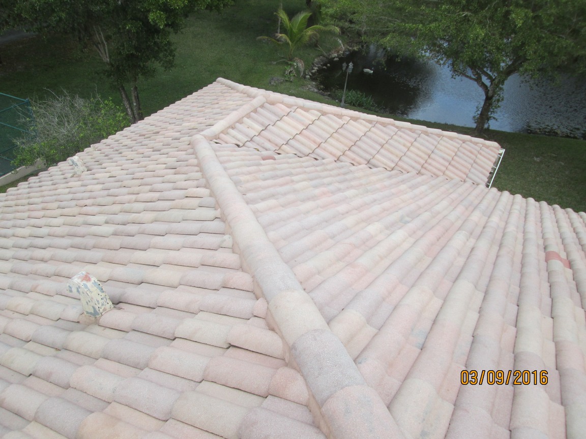 Roof after
