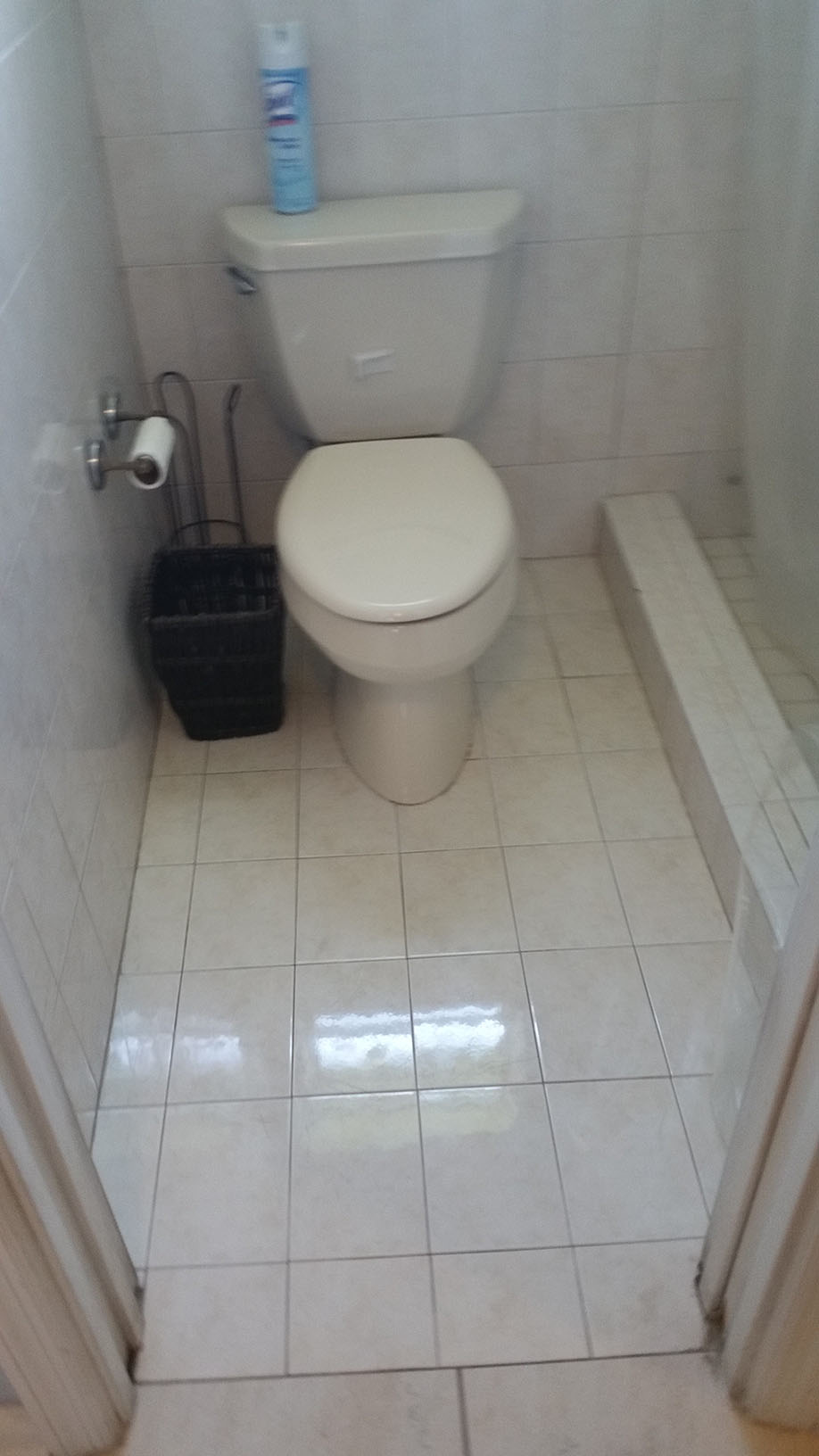 Before photo of existing toilet & shower