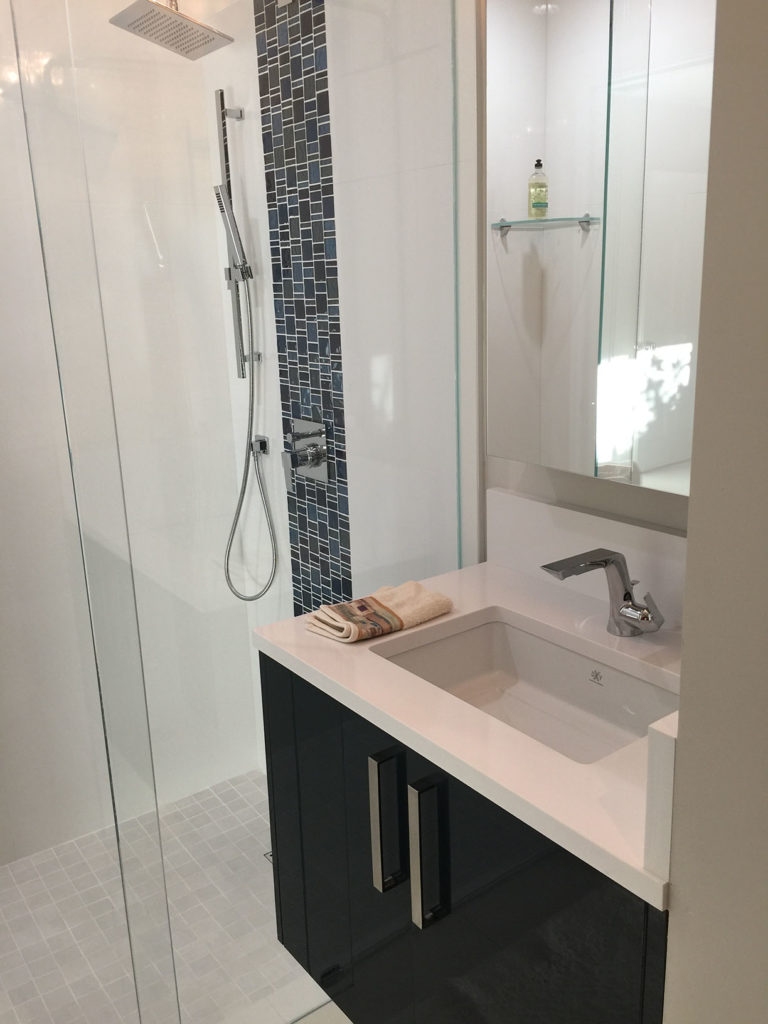 New glass shower enclosure & floating vanity