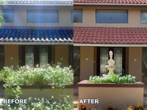 Before and after photo comparison