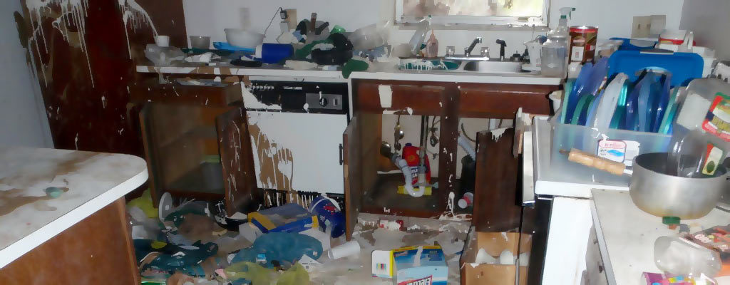 R.E.O. Cleaning & Maintenance